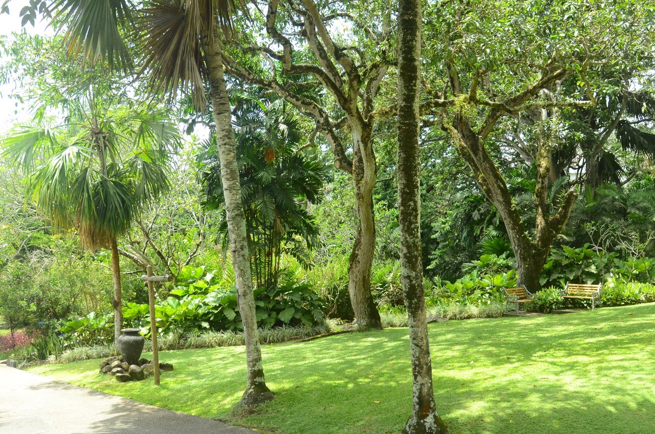 The Botanical Garden | Seychelles Parks and Gardens Authority