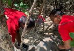 Measuring the carapace