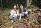 Ambassador Lin Nan planting a latanier feuilles