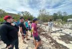 Visit of the Mangroves Forest