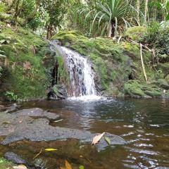 Morne Seychellois