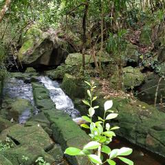 Morne Seychellois