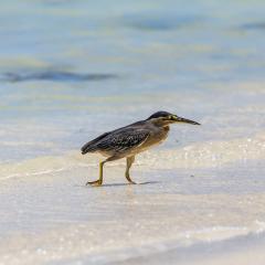 St Anne Marine Park