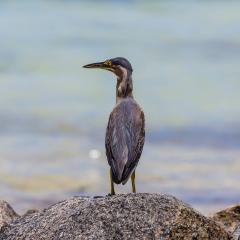 St Anne Marine Park