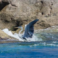 St Anne Marine Park