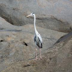 St Anne Marine Park