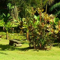 The Botanical Garden
