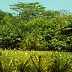 Biodiversity Centre