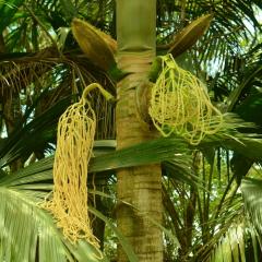 Biodiversity Centre
