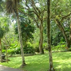 The Botanical Garden