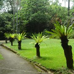 The Botanical Garden