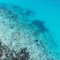 Curieuse Island