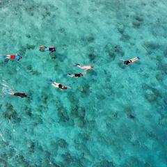 Curieuse Island