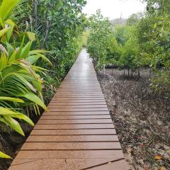 Curieuse Island