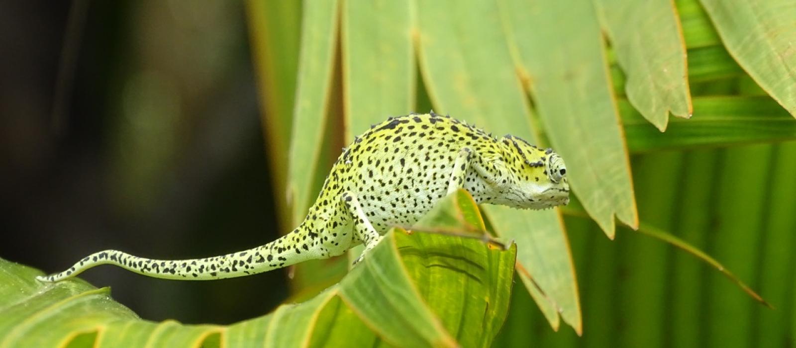 Praslin National Park