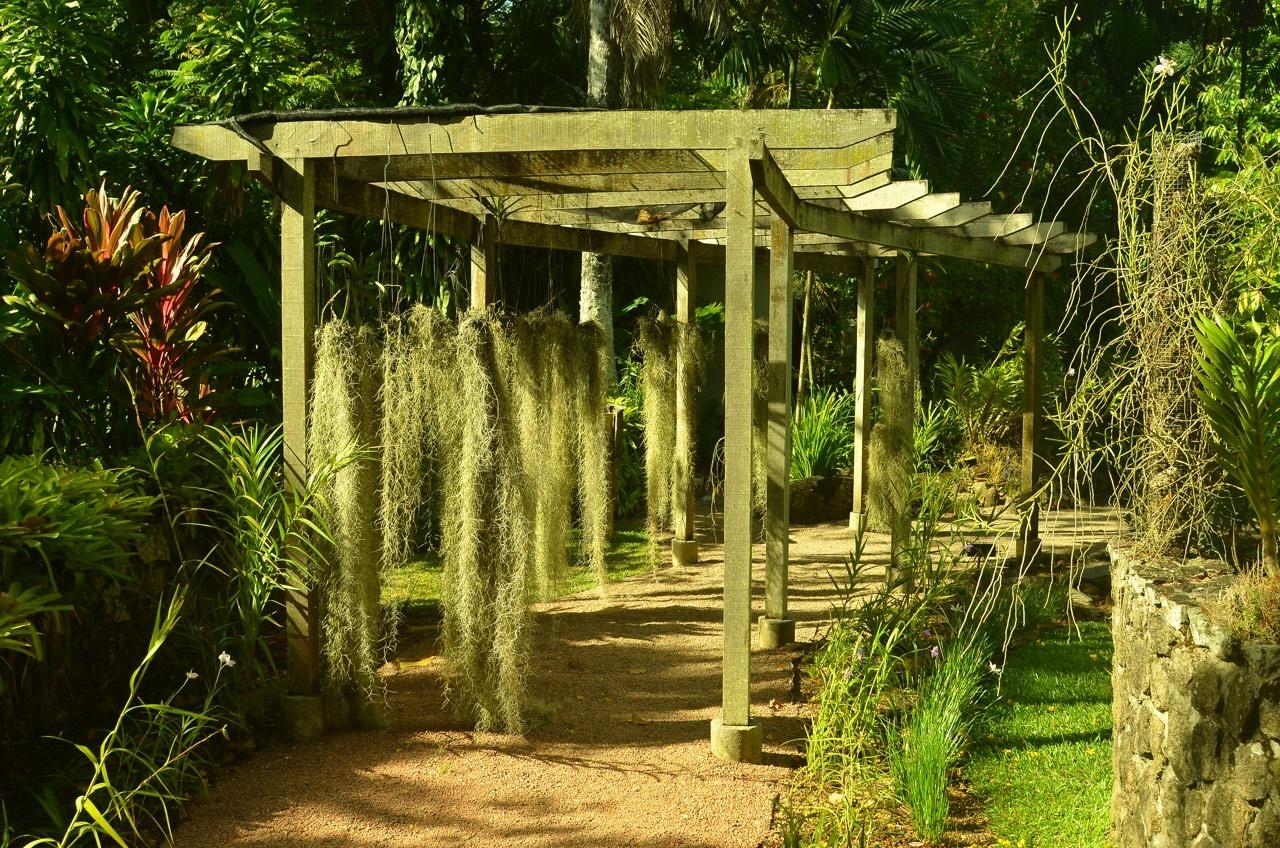 National Botanical Garden | Seychelles Parks and Gardens Authority