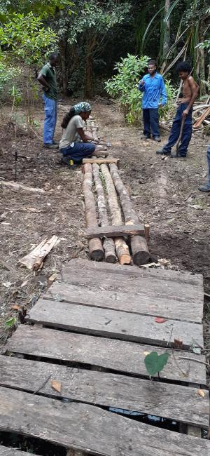 Building wooden bridges