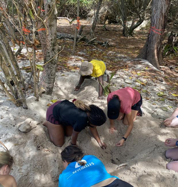 Alisha learning Nesting Sea Turtle monitoring