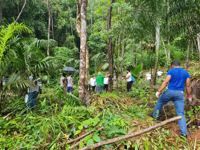 Participants tree planting