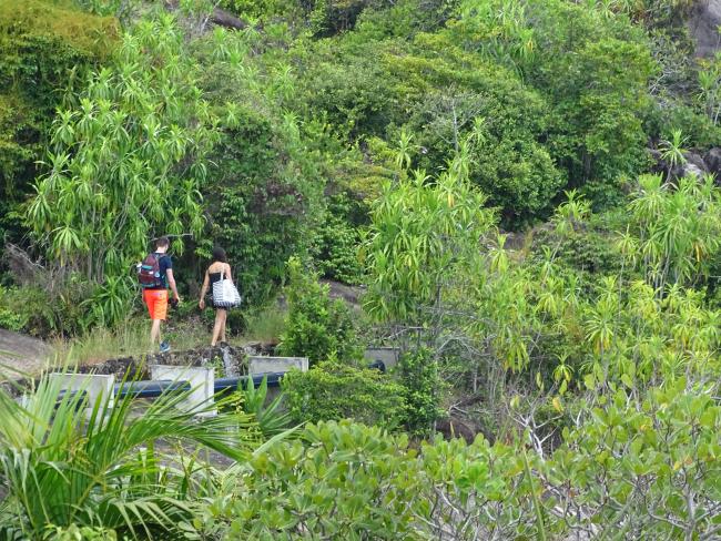 Hikers