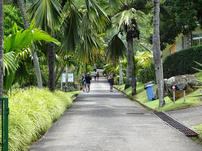 Visitors at the Botanical Garden