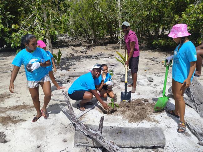 Tree Planting