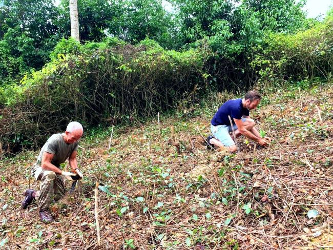 Travelers planting their tree