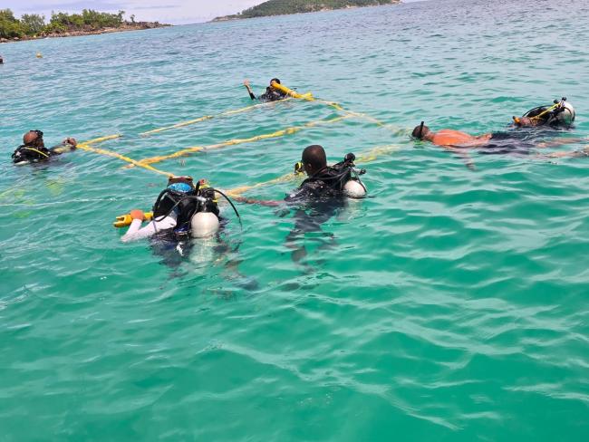 Coral Festival - Coral Outplanting