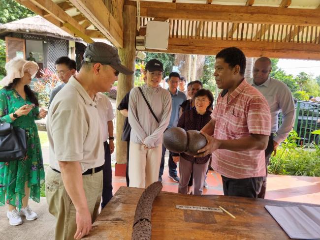 Receiving explanation on the Coco de Mer