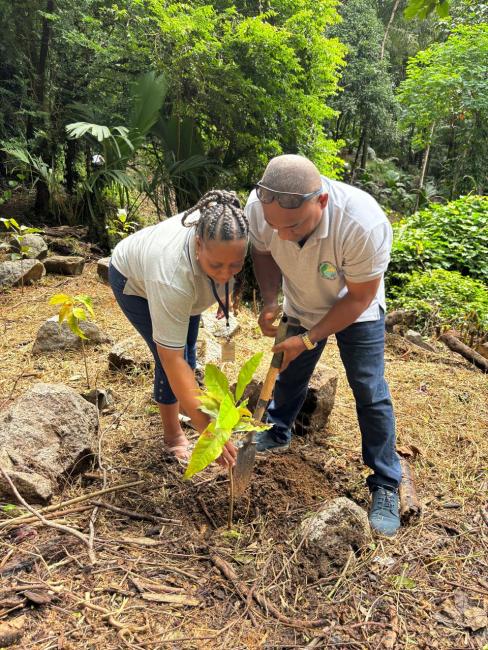 Tree planting_SPGA staff