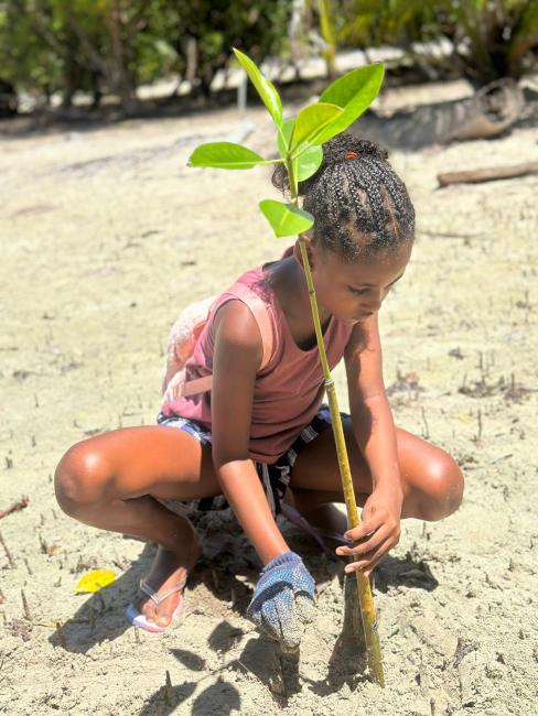 Mangrove Planting by student