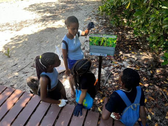 Mangrove Identification by Students