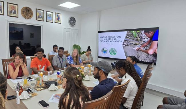 Marine Ecosystems Monitoring Exchange Workshop