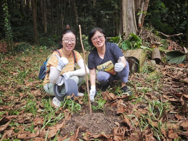 Ambassador Lin Nan planting a latanier feuilles