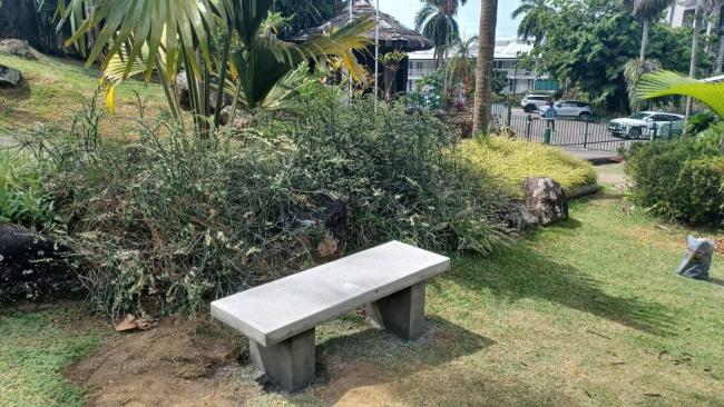 Donated Benches