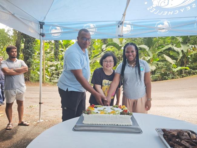 Symbolic Cake Cutting