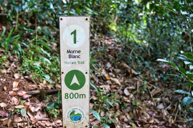 Morne Blanc Nature Trail Signage